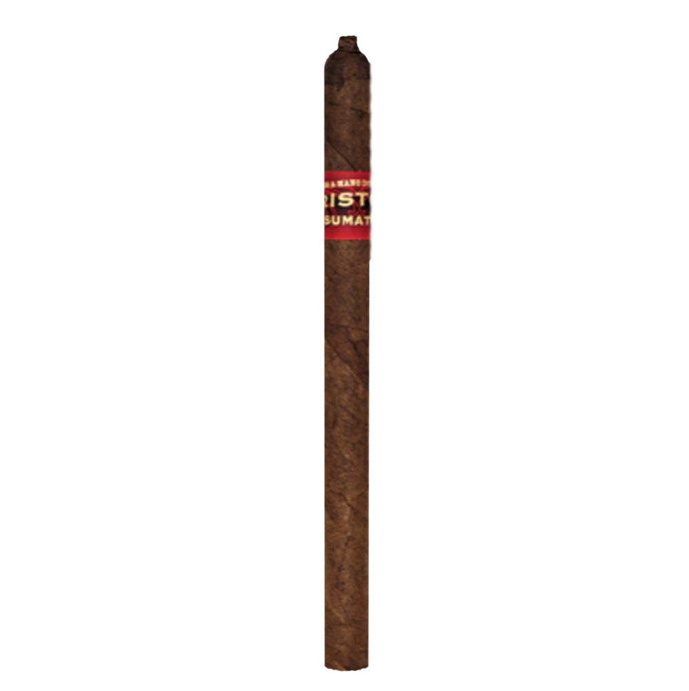 Kristoff Sumatra Lancero the seductive beanstalk